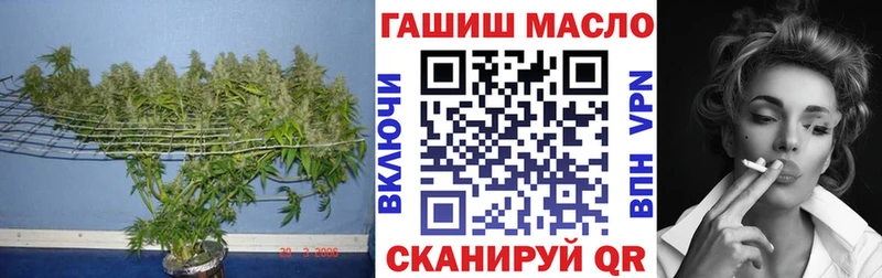 Дистиллят ТГК гашишное масло  Купить где  Карпинск 